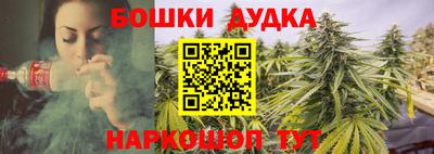 винт Нарткала