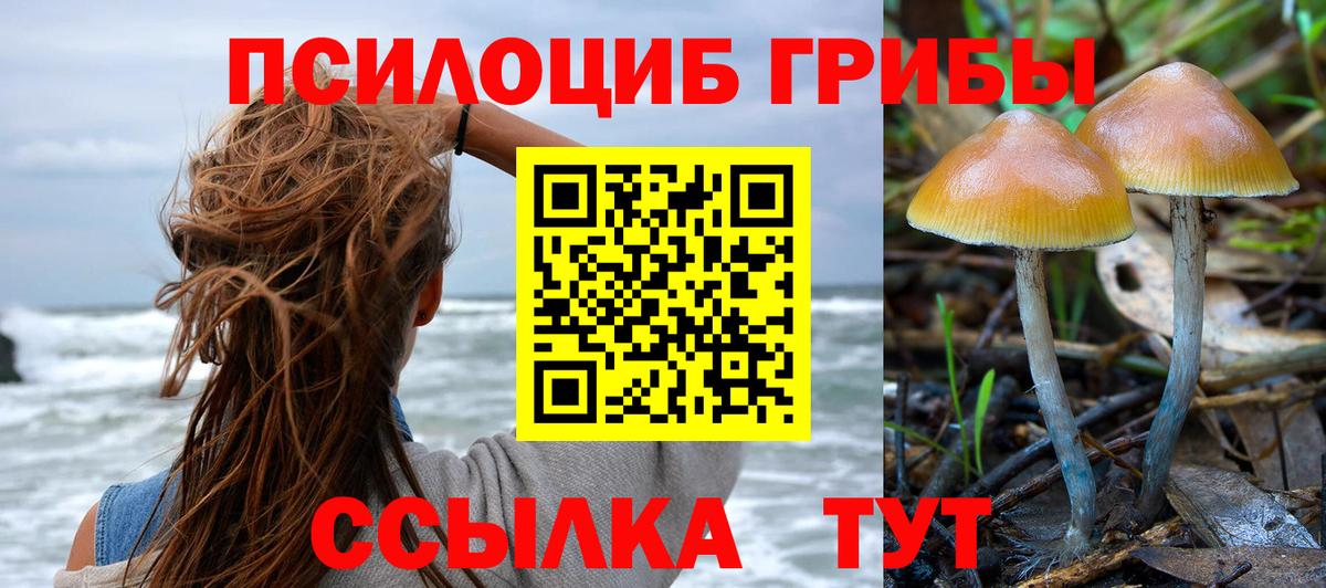 Галлюциногенные грибы мицелий  Вход с VPN  купить закладку  Рыбинск 